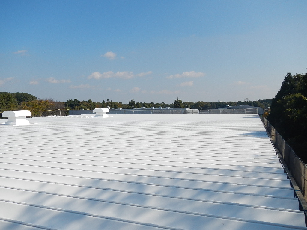 屋根折板及び外壁角波鋼板塗装工事（改修）